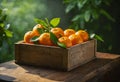 Fresh tangerines in wooden box on rustic table