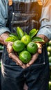 Fresh tangy lime held in hand with blurred lime selection background and copy space