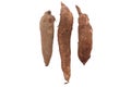 Fresh Tapioca roots or Cassava roots isolated on a white background