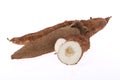 Fresh Tapioca roots or Cassava roots isolated on a white background