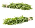 Fresh tarragon herb Royalty Free Stock Photo