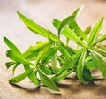 Fresh tarragon plant leaves on wooden background