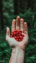 Fresh tart cranberries held in hand amidst selection on blurred background with copy space