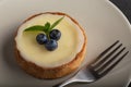 Fresh tartlet or cake with blueberry, vanilla cream and mint leaves on white plate and a fork next to it Royalty Free Stock Photo