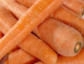 Fresh taste carrots as food background. Royalty Free Stock Photo