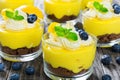 Fresh-tasting summer dessert - Lemon Cheesecake Mousse in cups Royalty Free Stock Photo