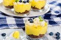 Fresh-tasting summer dessert - Lemon Cheesecake Mousse in cups Royalty Free Stock Photo