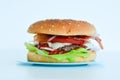 Fresh tasty beef burger close-up Royalty Free Stock Photo