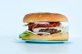 Fresh tasty beef burger close-up Royalty Free Stock Photo