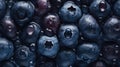 fresh blueberrie fruits, visible drops of water, overhead angle