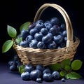 Fresh And Tasty Blueberry Basket With A Touch Of Ultraviolet Photography