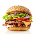 Fresh tasty burger Royalty Free Stock Photo