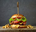 Fresh tasty burger Royalty Free Stock Photo