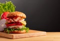 Fresh tasty burger on a wooden cutting board Royalty Free Stock Photo