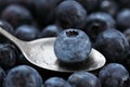 fresh and tasty canadian blueberry fruit in close-up