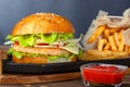 Fresh tasty chicken burger with sauce and french free Royalty Free Stock Photo