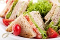 Fresh tasty club sandwich salad and toast