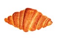 Fresh tasty croissant