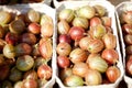 Fresh tasty gooseberries macro closeup on market outdoor Royalty Free Stock Photo