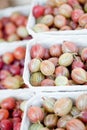 Fresh tasty gooseberries macro closeup on market outdoor Royalty Free Stock Photo