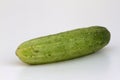 A fresh and tasty green vine ripened garden grown cucumber isolated on white Royalty Free Stock Photo