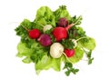 Fresh tasty greens and radish