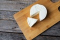 Fresh and tasty mexican panela cheese on wood background