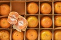 Fresh and tasty organic oranges in delivery packaging box. Royalty Free Stock Photo