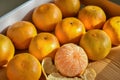 Fresh and tasty organic oranges in delivery packaging box. Royalty Free Stock Photo