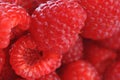 Fresh and tasty raspberry