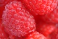 Fresh and tasty raspberry