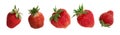 Organic Strawberry Isolated on White Background Close Up Royalty Free Stock Photo
