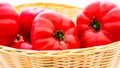 Fresh and tasty red tomatoes in wicker basket isolated Royalty Free Stock Photo