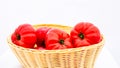Fresh and tasty red tomatoes in wicker basket isolated Royalty Free Stock Photo