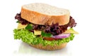 Fresh tasty sandwich on white background Royalty Free Stock Photo