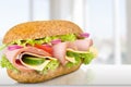 Fresh tasty sandwich, close-up view Royalty Free Stock Photo