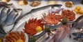 Fresh tasty seafood fish, trout, shrimps, sea scallop shells on ice decorated with lemon