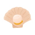 Fresh tasty seafood, scallop in seashell vector hand drawn illustration isolated on white background. Royalty Free Stock Photo
