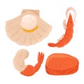 Fresh tasty seafood scallop, tuna steak and shrimp vector hand drawn illustration isolated on white background. Royalty Free Stock Photo