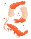 Fresh tasty seafood, shrimps vector hand drawn illustration.