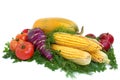 Fresh tasty vegetables Royalty Free Stock Photo