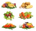 Fresh tasty vegetables Royalty Free Stock Photo