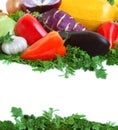 Fresh tasty vegetables Royalty Free Stock Photo