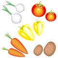 Fresh tasty vegetables. In the collection of potatoes, carrots, onions, peppers, tomatoes. A bountiful harvest. Vector