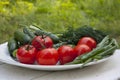 Fresh tasty vegetables from the garden lie on a plate on a white table. Cucumbers, tomatoes, onions, dill Royalty Free Stock Photo