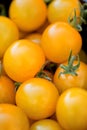 Fresh tasty yellow cherry tomatoes macro closeup on market Royalty Free Stock Photo