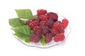 Fresh tayberries on a glass plate Royalty Free Stock Photo