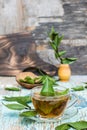 Fresh tea from bay leaf in a cup on a wooden rustic table Royalty Free Stock Photo