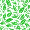 Fresh tea leaf. Vector seamless pattern