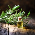 Fresh tea tree twig and essential oil in a glass container, on the wooden board Royalty Free Stock Photo
